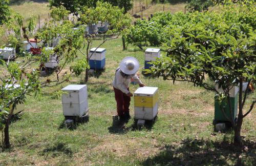 Country Home Genesi 20 min from Trikala - Foto 57