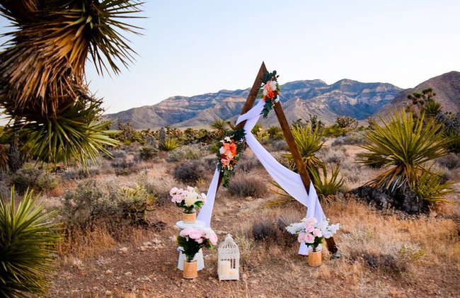 Las Vegas Scenic Wedding Ceremonies - Photo 1