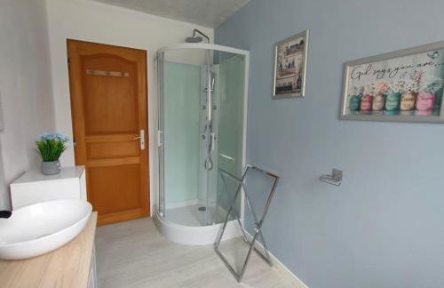 Maison familiale Cherbourg-ping pong-baby foot - Photo 32