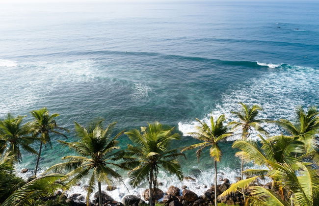 Samadara Estate, Midigama - Photo 40