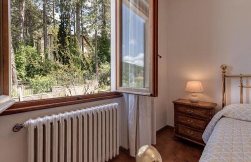 Gigli di Firenze - Foto 12