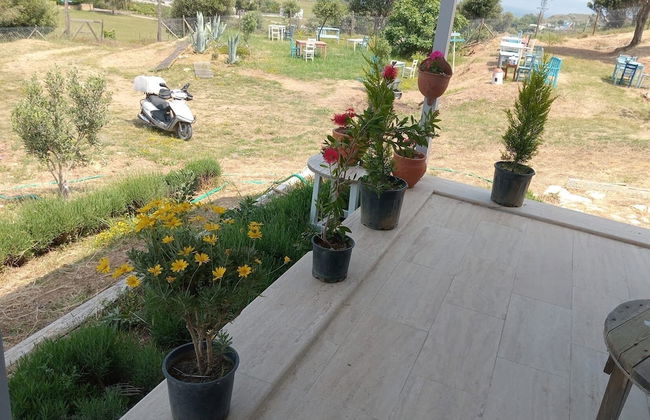 Zeus kır evi - Photo 31