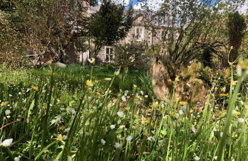 Beautiful Listed Mansion with incredible woodland views - Photo 67