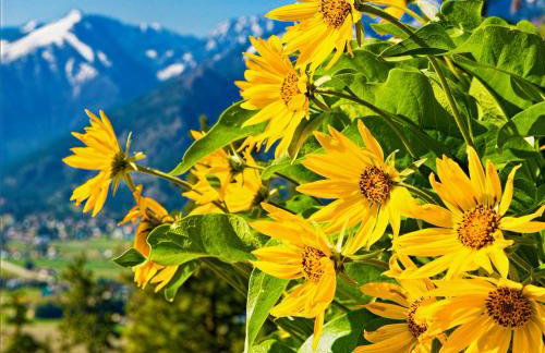 Riverfront Chalet Near Skiing, Lakes, Mtns & Leavenworth - Foto 63