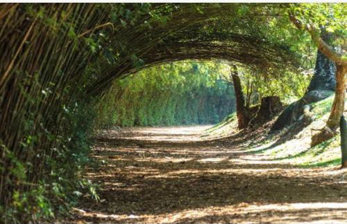 Flat Granja Viana - Cotia - espaço e conforto - Foto 43