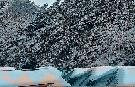 King Cabins - Photo 44