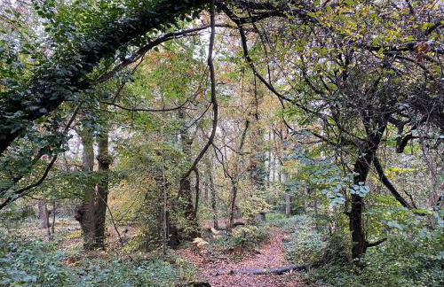 Good Vibes - Foto 33