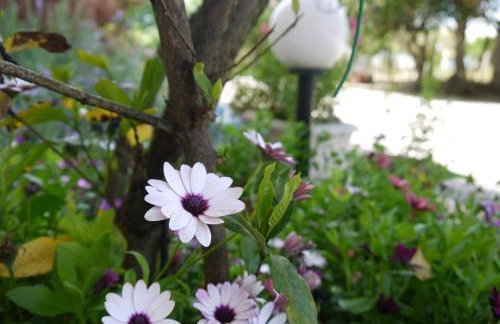 Fani Hotel - Foto 27