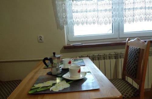 Dom z ogrodem w malowniczej okolicy Bieszczady - Foto 21