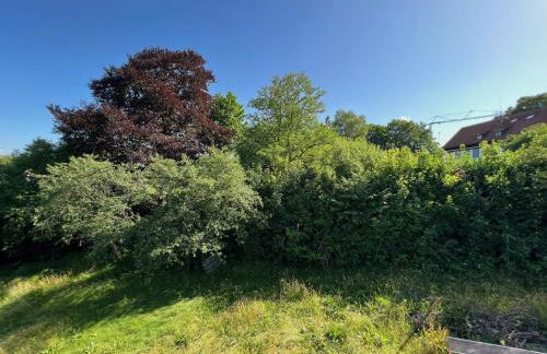 Residenz Donau-Schlossblick - Foto 36