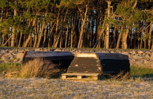 Ferienwohnung Weitblick mit Logia - Foto 21
