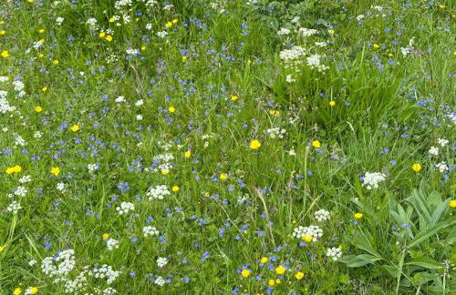 Crepigill Cottage - Foto 23