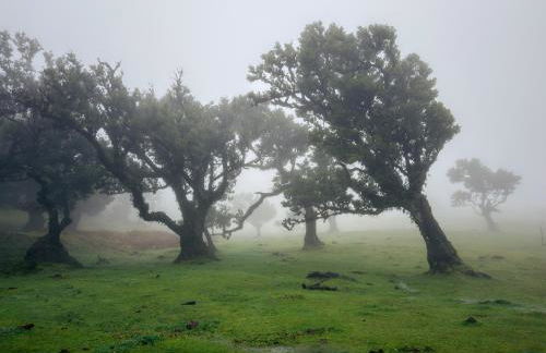 Vivenda Silva - Foto 19