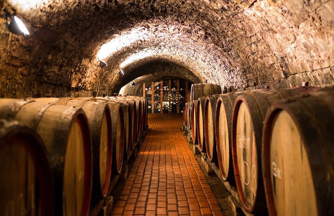 Excursion d'une journée à Vitoria, La Rioja et visite d'un domaine viticole à Laguardia au départ de Bilbao - Photo 2