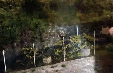 Casa della Nonna - Foto 21