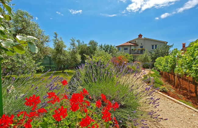 Apartments Daffodils 1002 - Foto 42