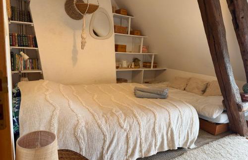 Maison de marinier les pieds dans l'eau face à la Loire - Foto 11