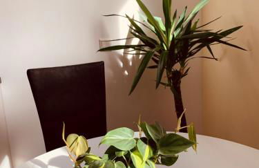 Seeperle Souterrain - Photo 13