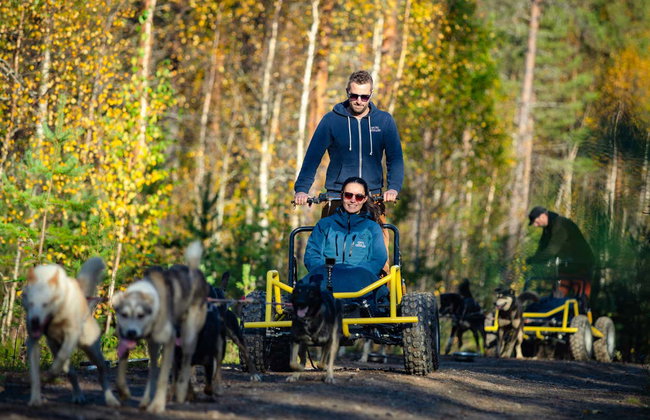 Husky Sleigh Ride - Photo 8