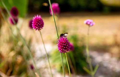 Wintertraum in Damm - 70 qm Wellness & Wohlfühl-Atmosphäre - Foto 36