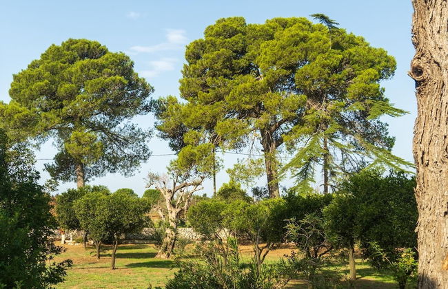 Agriturismo Villa Coluccia - Foto 69