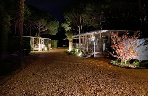 Dune Prestige & Chalets - Foto 10