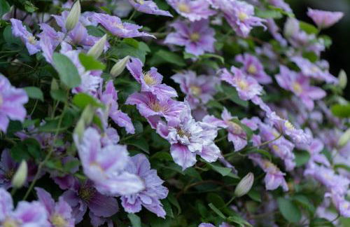 Ferienwohnung Am Walde 35177 - Foto 7