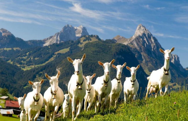 Cosy Chalet With top View - Foto 39