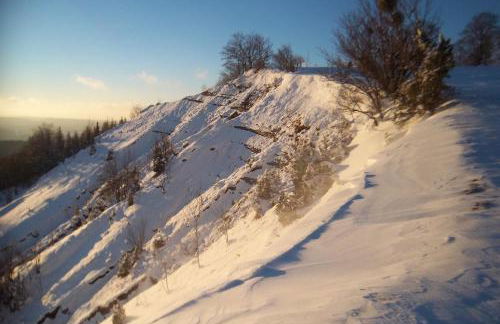 Le Bois gentil - Foto 19