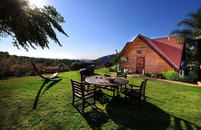 Auzat King David - Photo 20