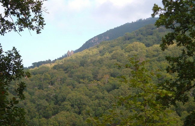 Agriturismo Bosco Pianetti - Foto 31