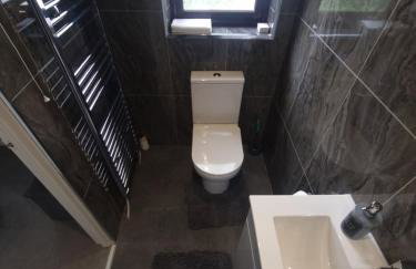 Rise at the Belfast Murals - Photo 10