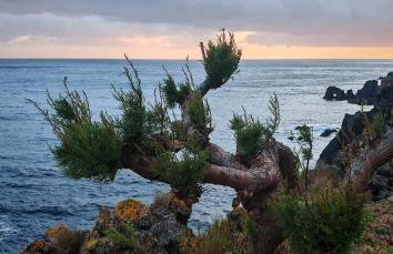 Casinha de Nesquim - Foto 22