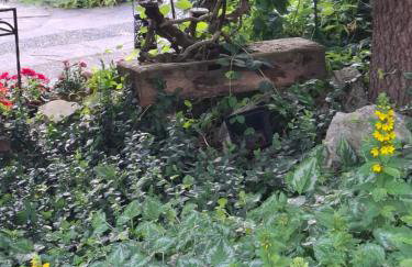 Agroturystyka Kalina Wielka - Foto 25