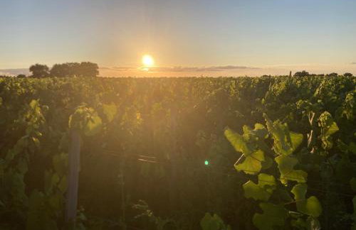 Chateau de la Preuille Gites - Foto 45