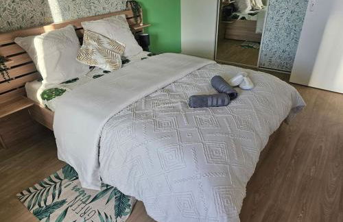 grand appartement 2 pièces en résidence - Foto 38