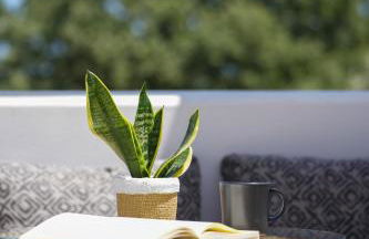 Apademia Skyros Luxury Residences - Photo 6