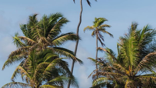 Cabanas Blue - Foto 2, Entrada interior
