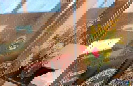 Sedona Pines Resort - Foto 45