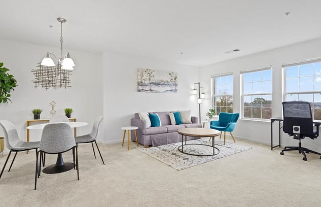 VA - Avalon - Apt 301 - Photo 7