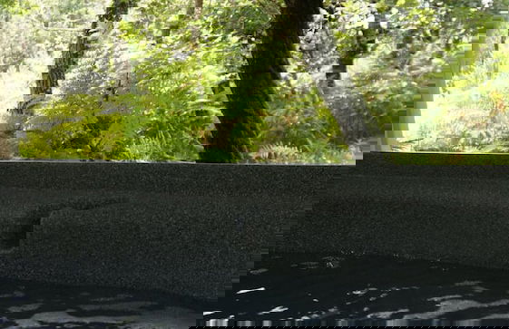 Les Landines - Foto 32