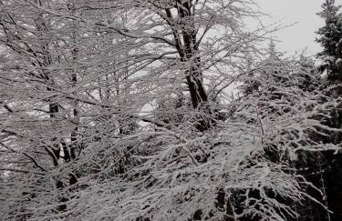 Lüns Ökoferien - Foto 21