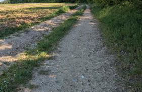 Les Marguerites - Foto 35