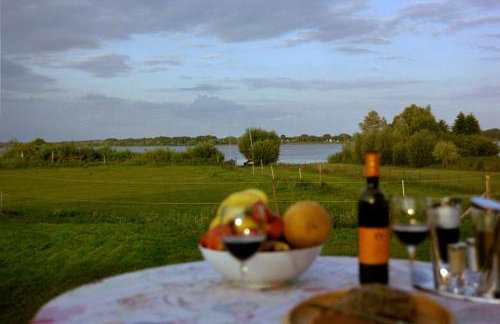 Glashaus direkt am Müritzufer - Foto 19