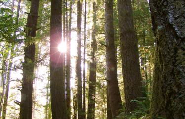 Amazing Oceanview 2 bedroom Oceanfront! by OceanviewHotTubs Shelter Cove, CA Tesla EV Station - Foto 44