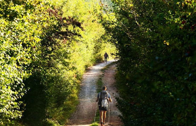 Agriturismo Fattoria Aquilone - Foto 32