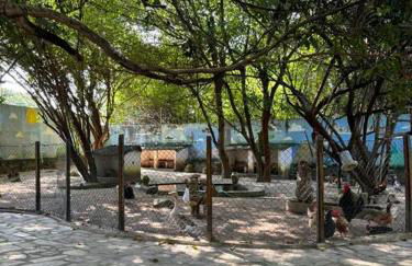 Bangalô 5 Dorms - Victory Lucena - Photo 19