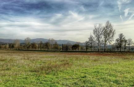 Agriturismo Casa Agricola Rossi Appartamenti in Casentino - Foto 101