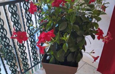 Ferienwohnung Hubi - Foto 23