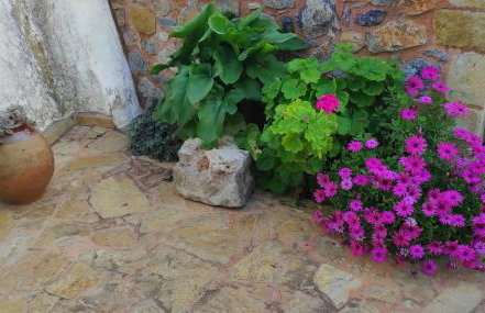 Traditional stone house in Kefalas-Sea view - Photo 45